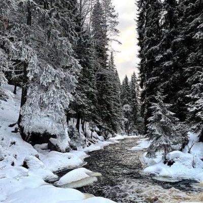 Экопарк Долина водопадов