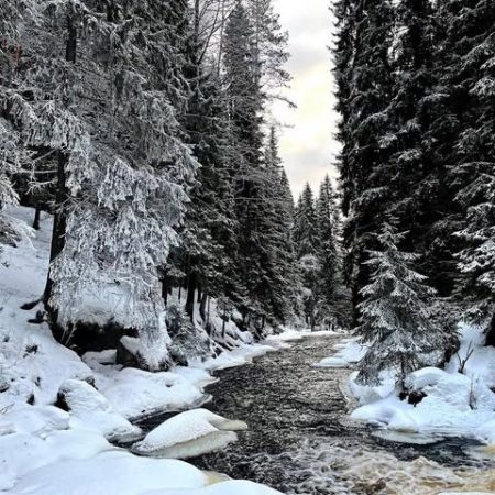 Экопарк Долина водопадов