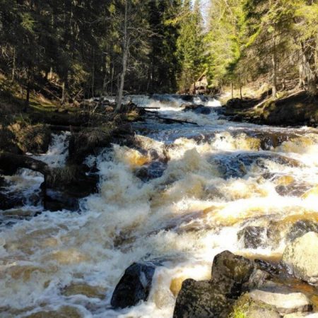 Экопарк Долина водопадов